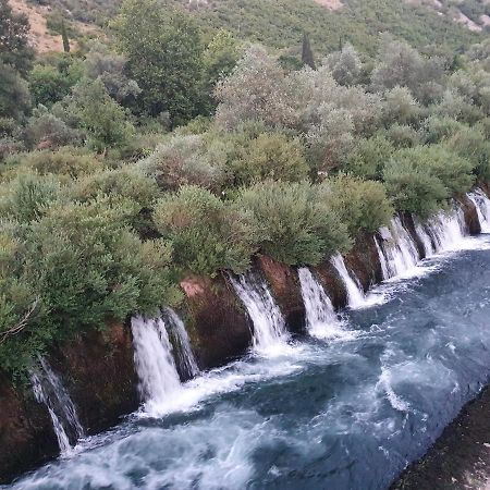 Villa Buna Dış mekan fotoğraf