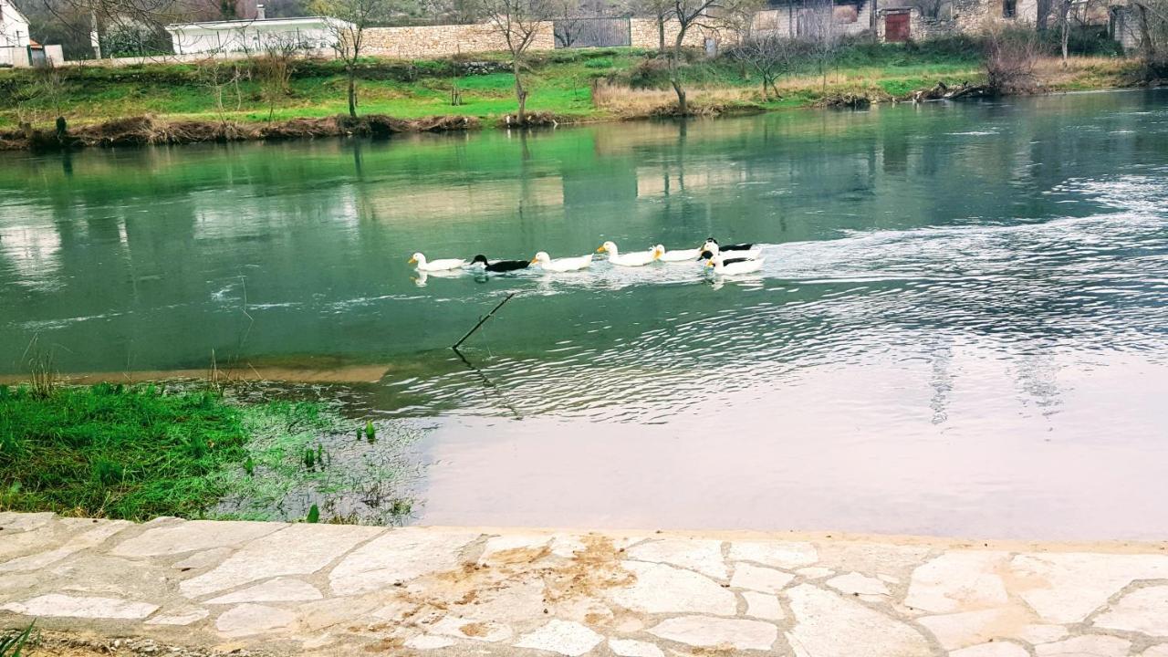 Villa Buna Dış mekan fotoğraf