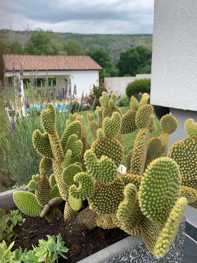 Villa Buna Dış mekan fotoğraf